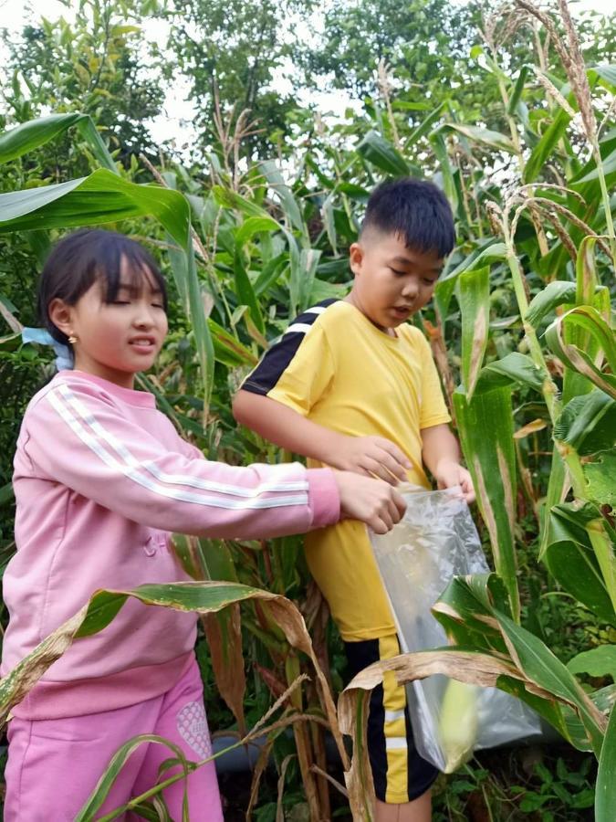 Sakura Homestay 萨帕 外观 照片